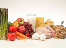 high protein low carb diet