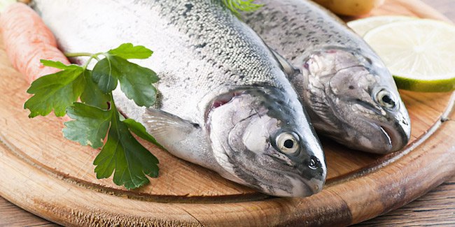 The Best Fish to Eat For Weight Loss