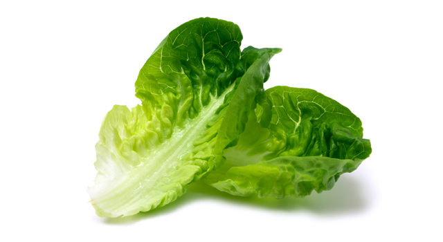 lettuce