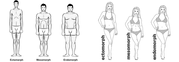 Men and Women different body types