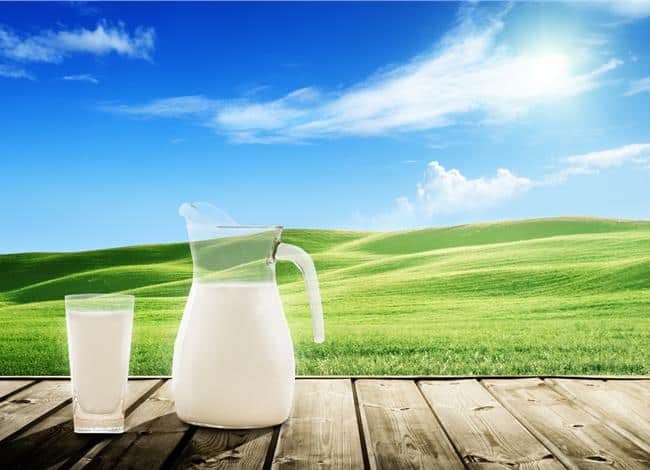 dairy-good-or-bad