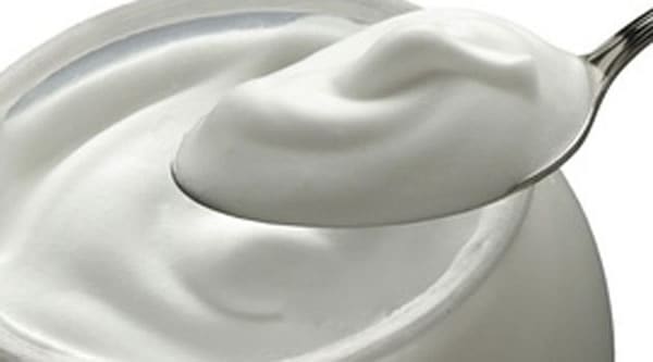 plain yogurt