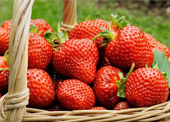 health-benefits-of-strawberries