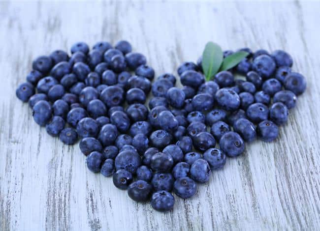 health benefits of blueberries