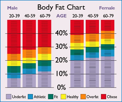 body fat percentage