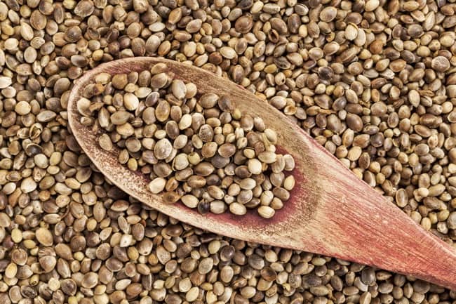 Hemp Seeds Benefits