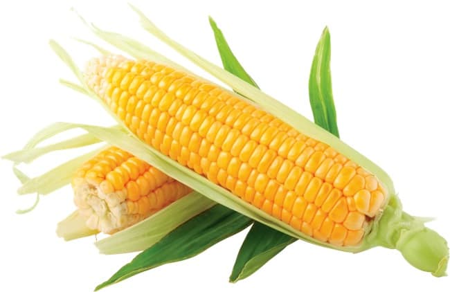 Corn