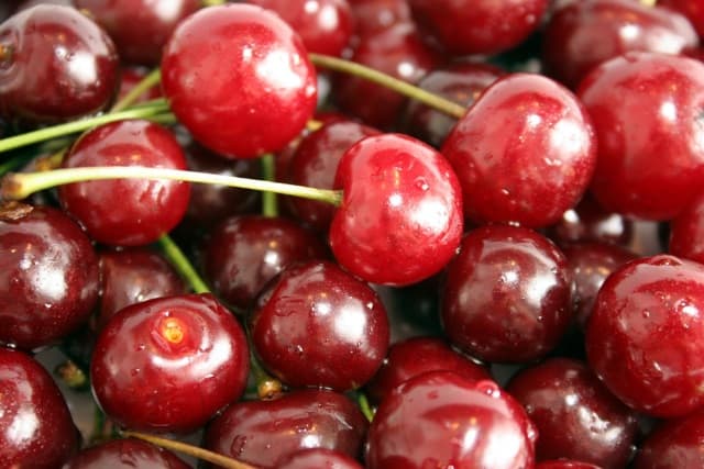 Tart Red Cherries