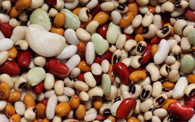 Legumes