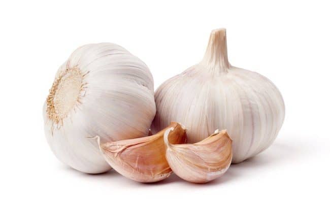 benefits of garlic