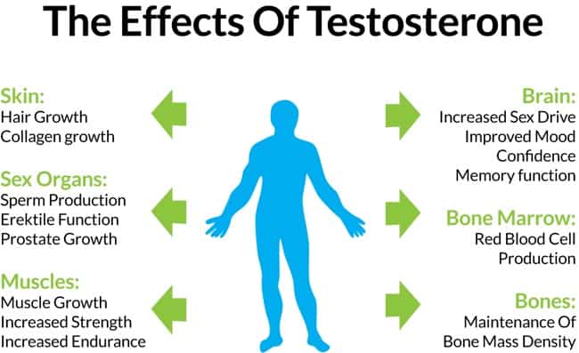 Foods That Help To Increase Testosterone Quickly And Naturally
