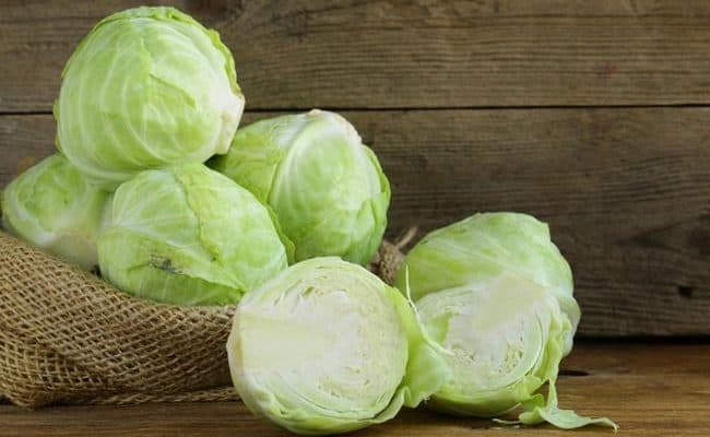 cabbage and fat loss