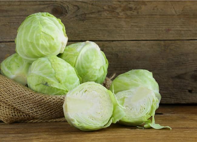 cabbage and fat loss