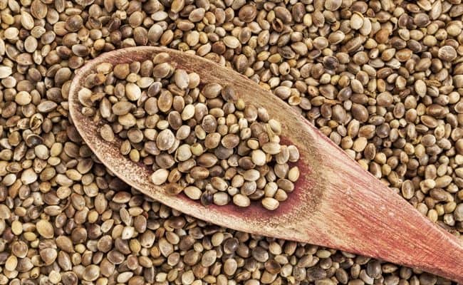 hemp seed benefits