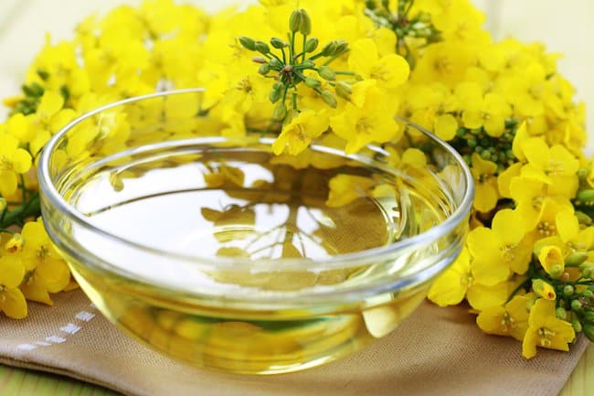 is canola oil bad for you