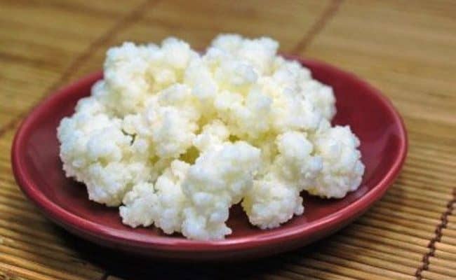 kefir health benefits