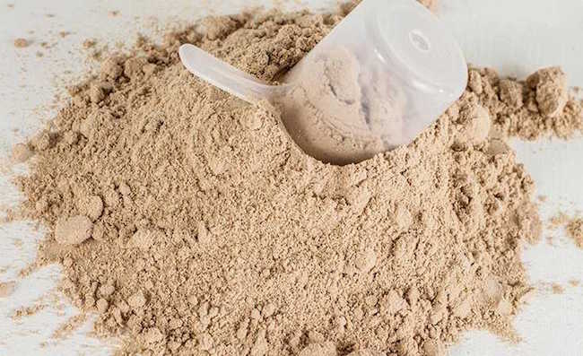 protein powders