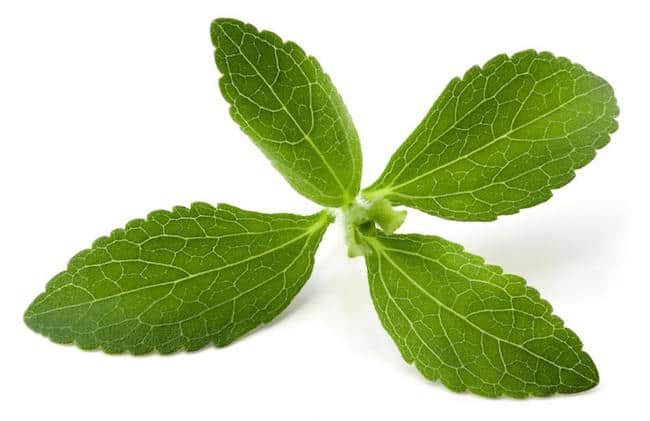 stevia