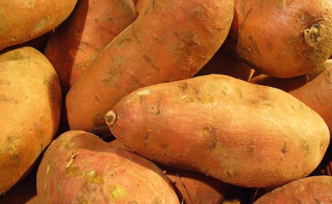 sweet potatoes weight loss
