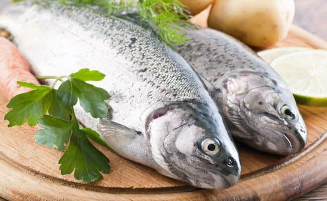 what is a fish diet and is it bad for you