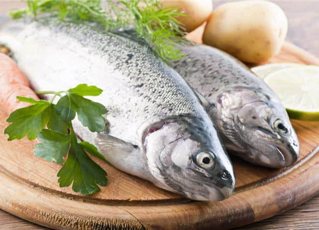 what is a fish diet and is it bad for you