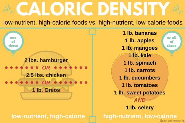 Understand Caloric Density