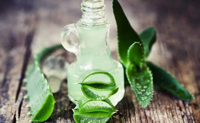 aloe vera benefits