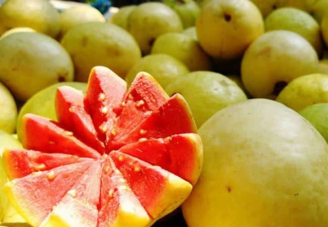 guavas ready to eat