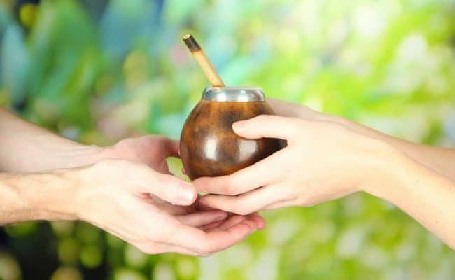 Yerba mate health benefits