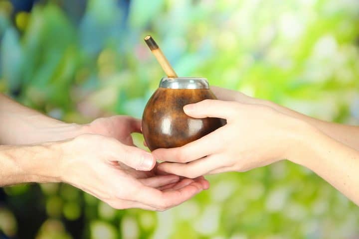 Yerba mate health benefits