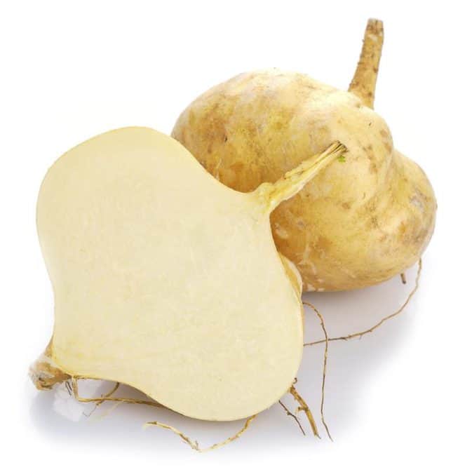 Jicama