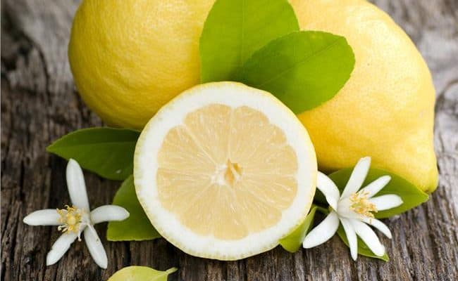 best citrus fruits