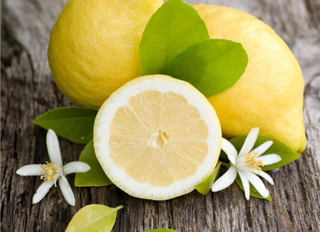 best citrus fruits
