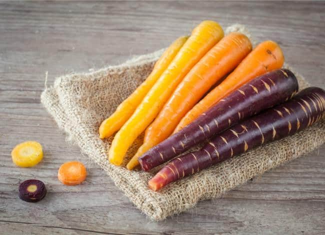 different colour carrots