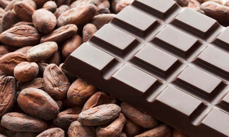 cocoa beans