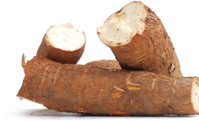 cassava