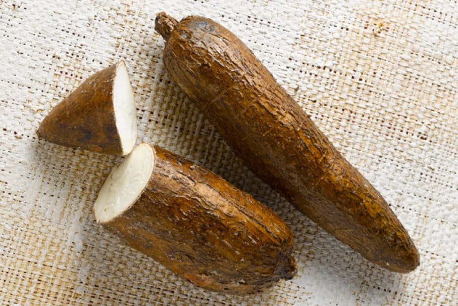 cassava health dangers