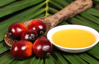 Is Palm Oil Good Or Bad For Your Health?