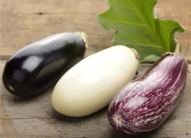 coloured eggplants