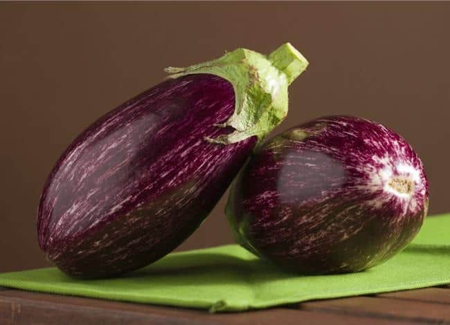 eggplant