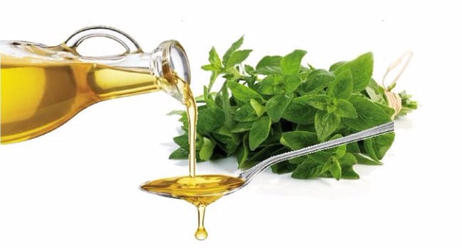 oregano oil