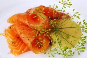 salmon