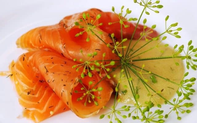 salmon