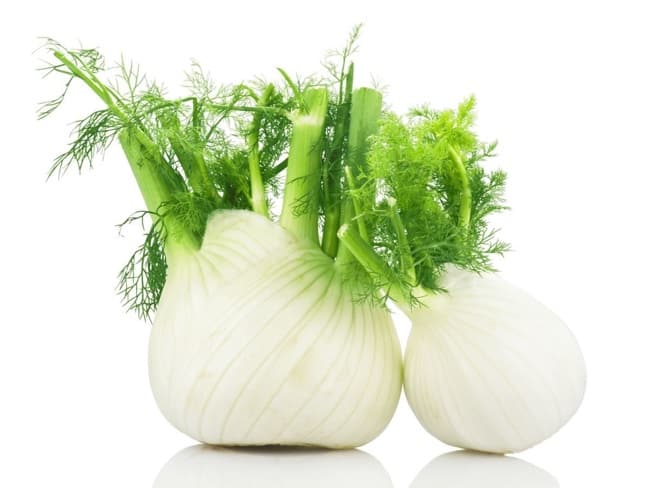 fennel