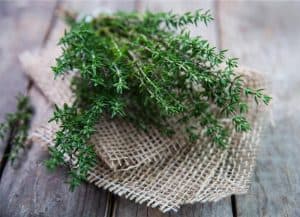 thyme