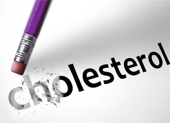 cholesterol