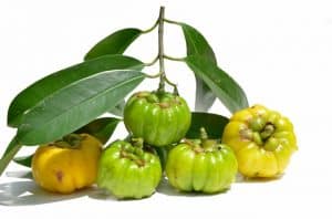 garcinia cambogia