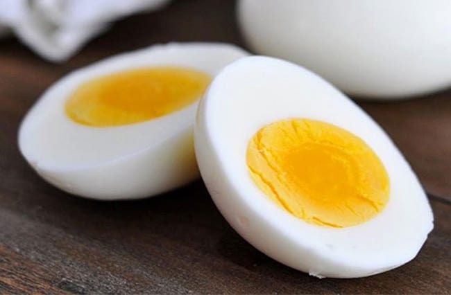egg protein source