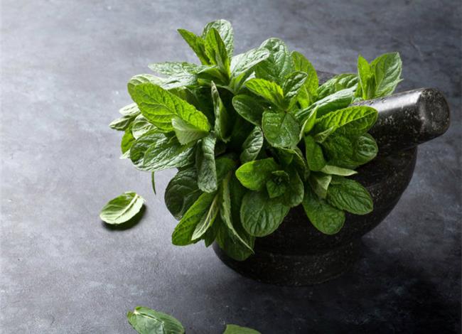 mint leaves