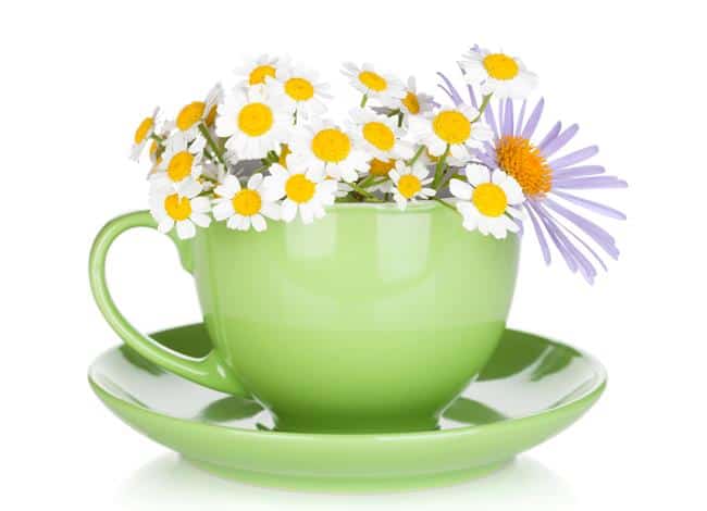 Chamomile Tea